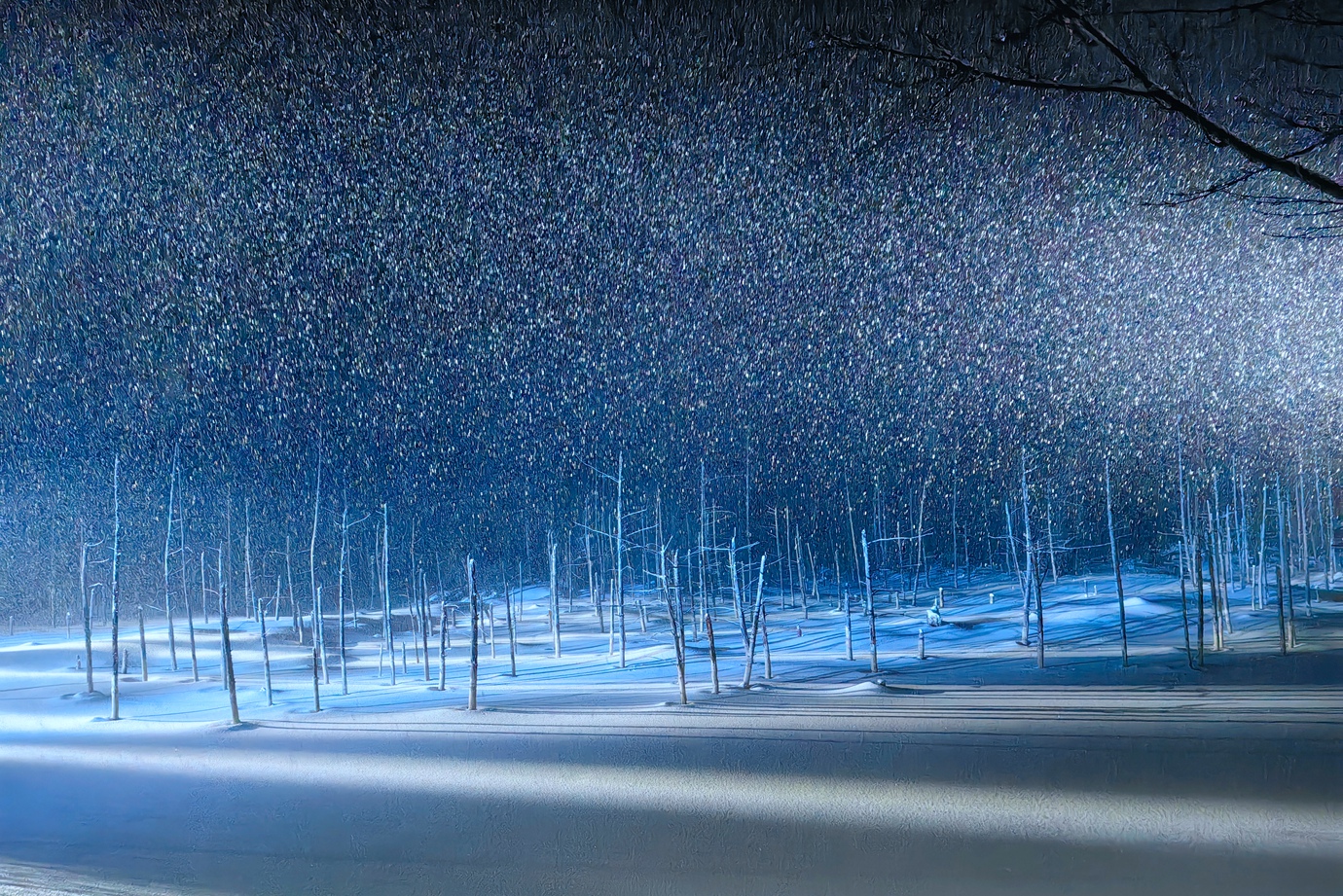 北海道美瑛-青池
